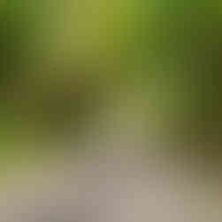 Miami Beach Beachwalk