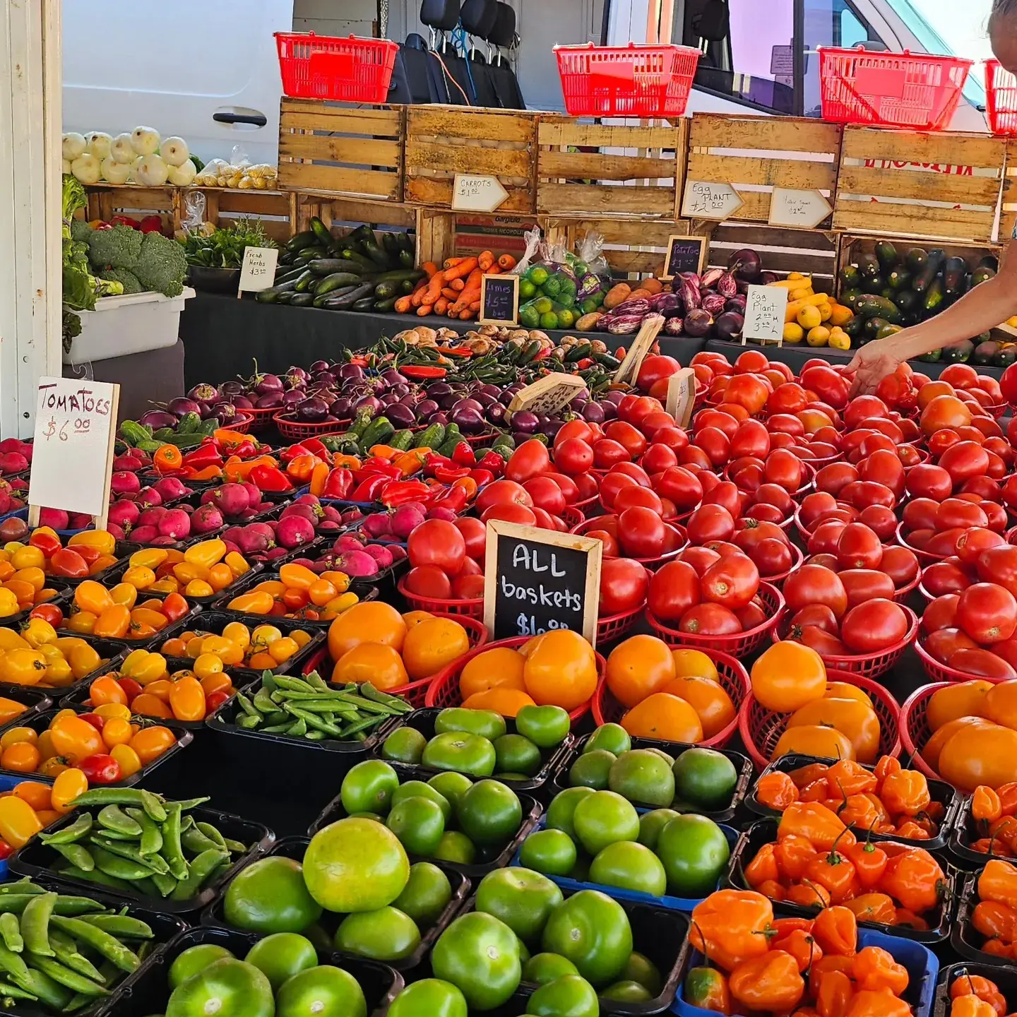 Produce Available at Key West Markets