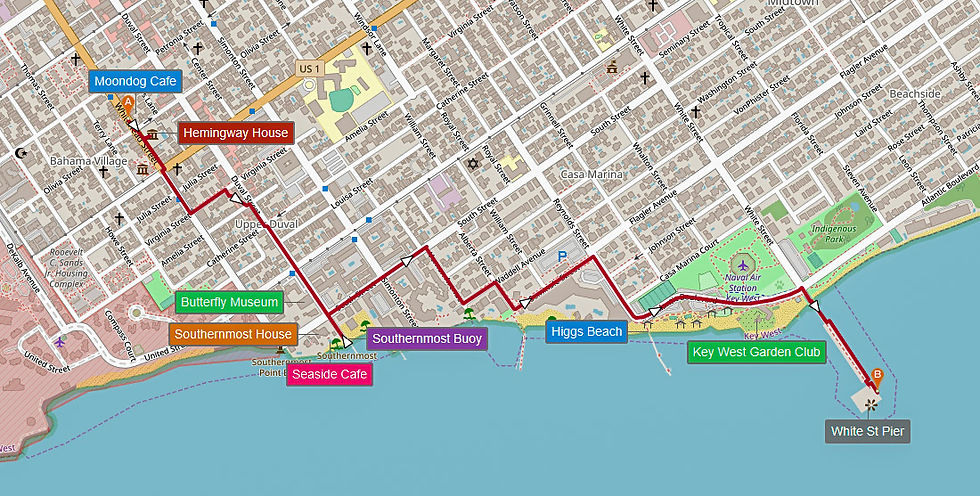 9 Best Things to Do on Duval Street Key West