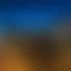 Christmas Tree and Santa's Reindeer in Historic Annapolis