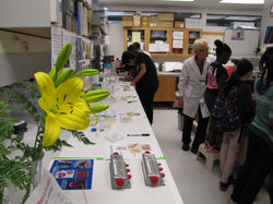 Spending time in the lab