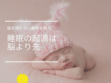 睡眠の起源とは？