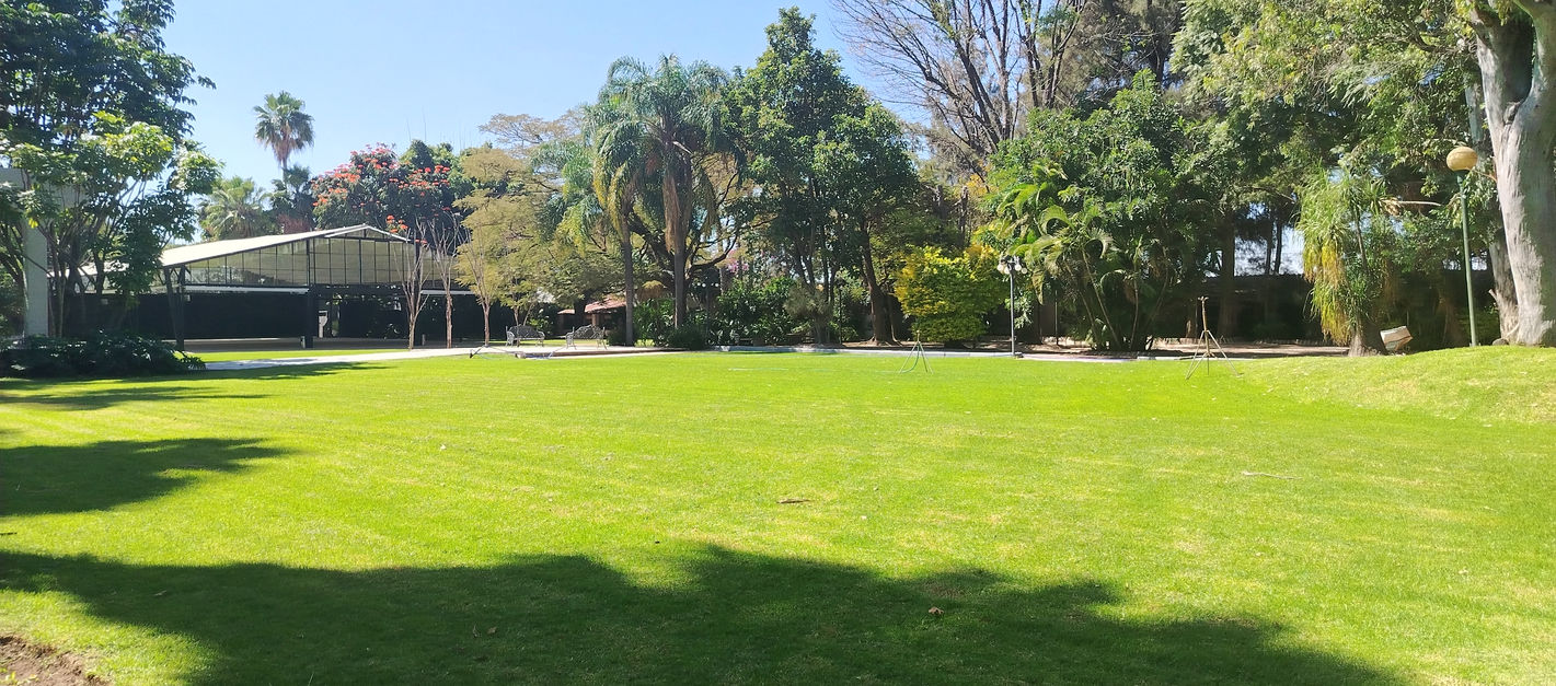 Jardín AQUIVIRA, sin montajes.