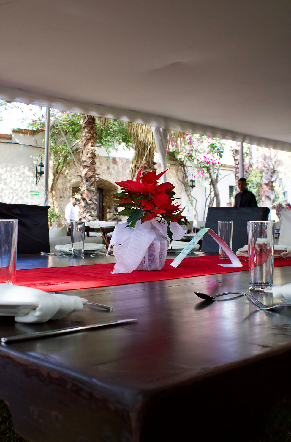 Posada Terraza