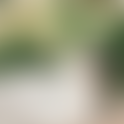 How to Choose the Perfect Veil for Your Wedding Dress