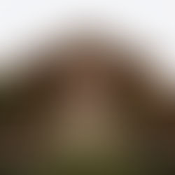 Tips for Shy Brides: Navigating Your Wedding Day with Confidence