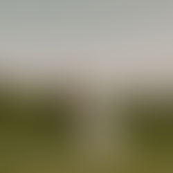 The Micro-Wedding Trend: Why Smaller Weddings Are Big in 2024