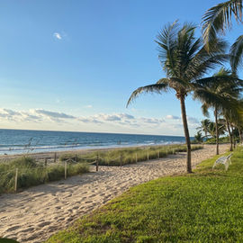 Take care of patchy brown grass by the beach.