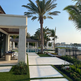 East Boca Palm Tree Fertilization and Care