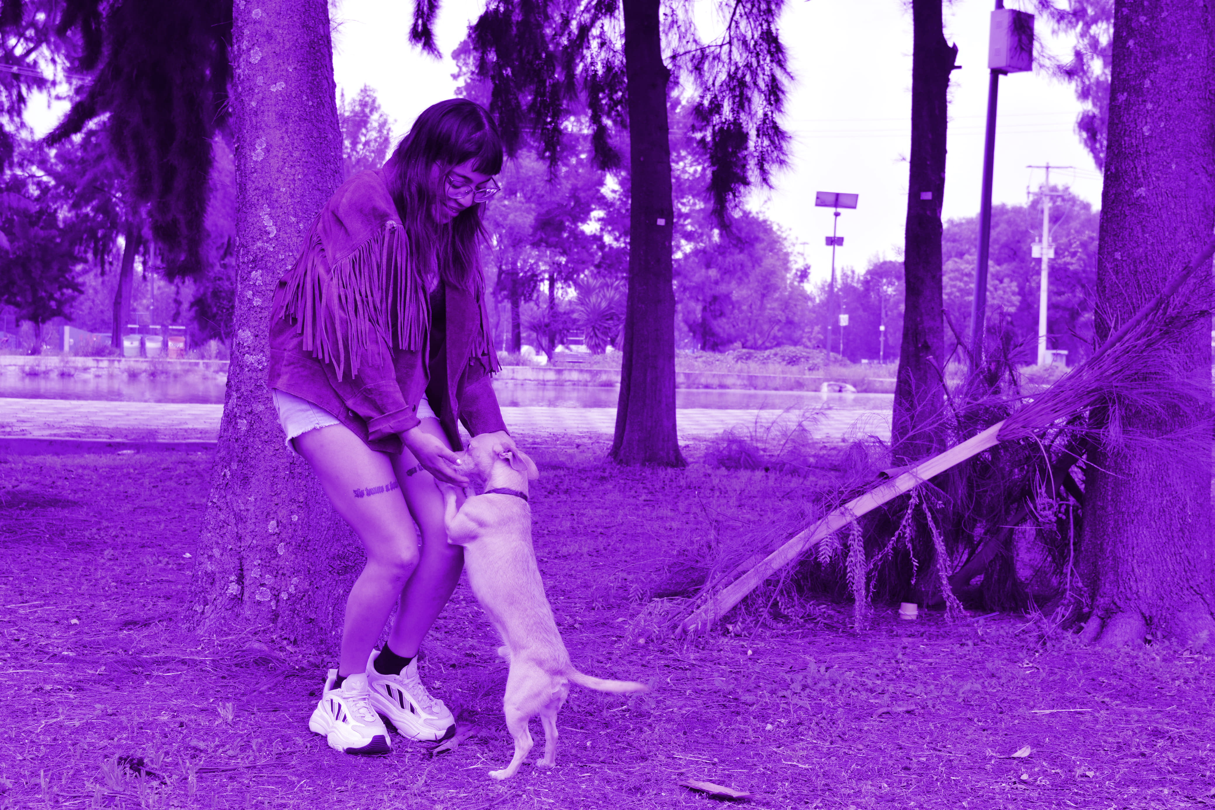perrito.png
