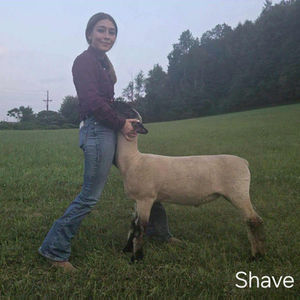 McKenzie Shave
