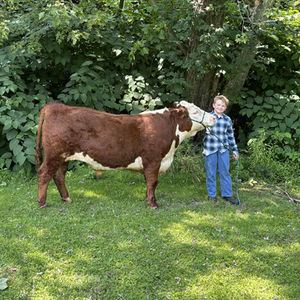 Carter Derhammer