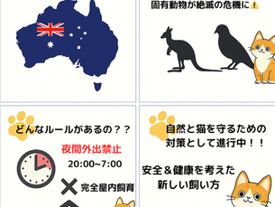 🇦🇺 オーストラリアでは「猫の外出」が法律で禁止されるって本当?