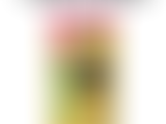 🐶✨ プロフェッショナルバランス 子いぬ用 鶏ささみ 40g ✨🐶