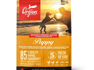 🐶 オリジン パピー 2kg