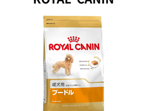 🐩ロイヤルカナン プードル アダルトの魅力💛
