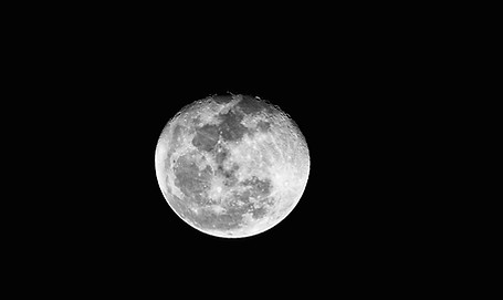 DSC_0118.jpg