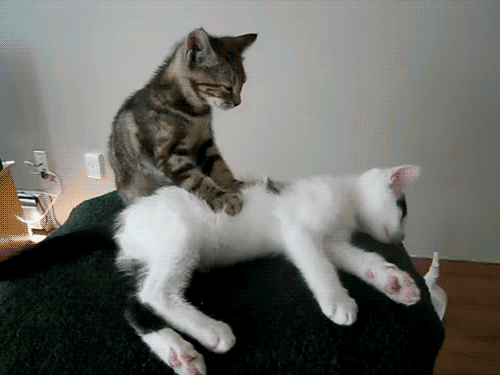 Massage relaxant, pierres chaudes, reiki, Soyez Zen, détente & relaxation