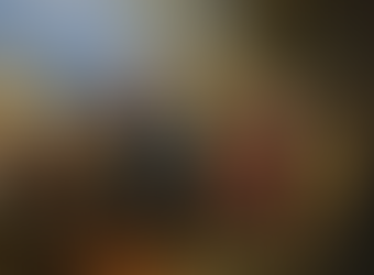 El día que Jesús fue Proclamado Rey por los Judíos