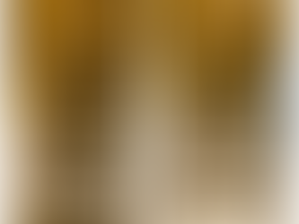 Stone repairs by Surface Repair Specialists