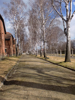 voyage agora 2011-03-06_106