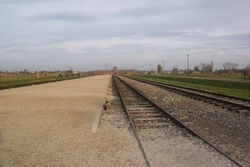 voyage agora 2008 toussaint-151.jpg