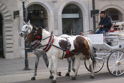 voyage agora 2010-11-02_161