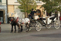 voyage agora 2010-11-02_178