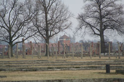 voyage agora 2008-02-04_184.jpg