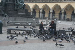 voyage agora 2008-02-05_253.jpg