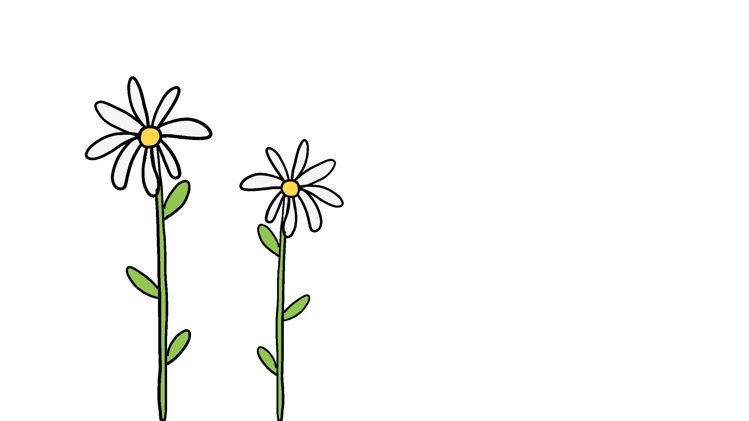 daisy animation.gif