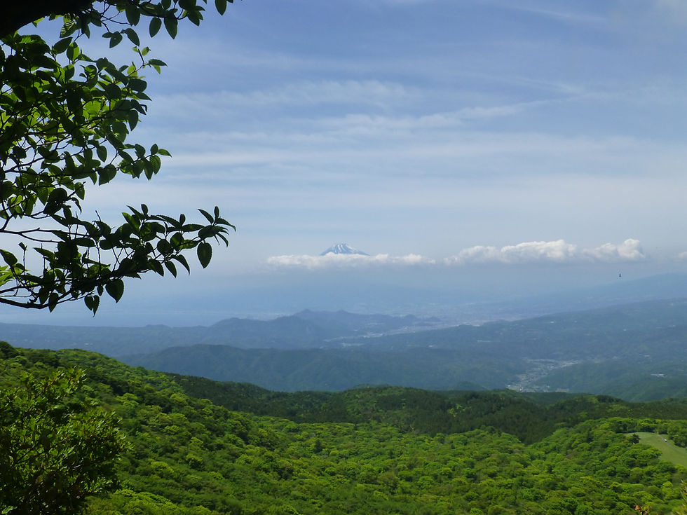 天城山と玄岳