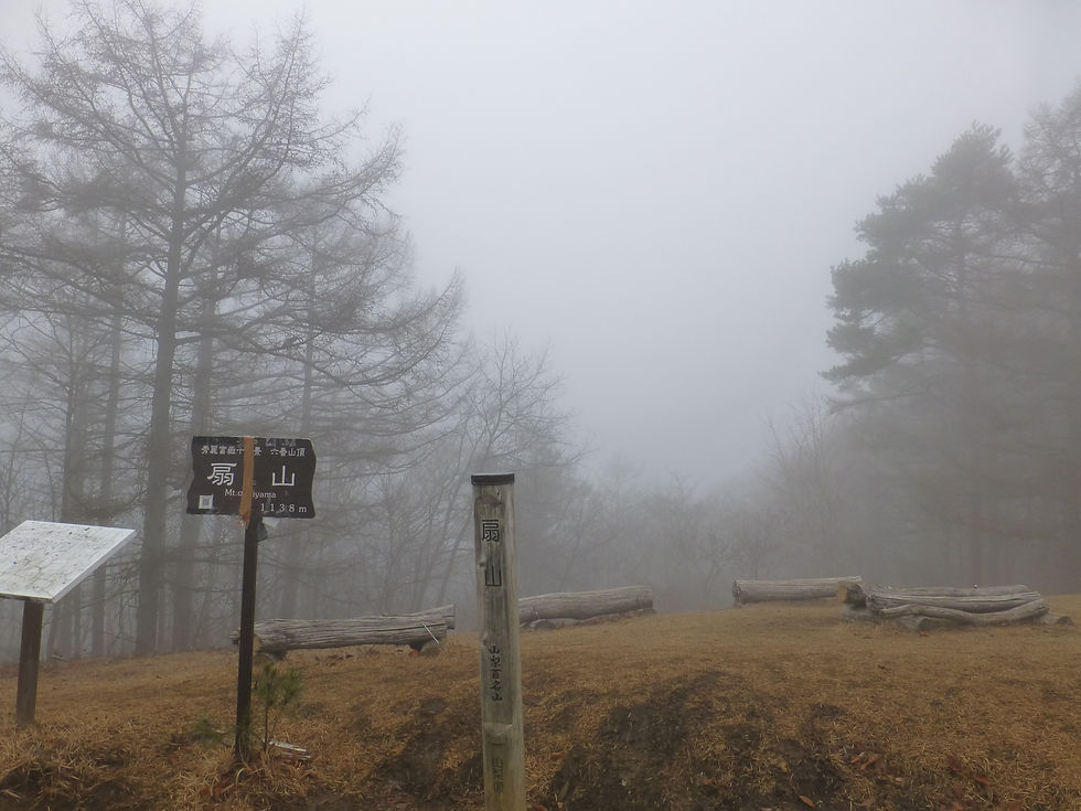 火事の傷跡痛々しく…〜扇山〜