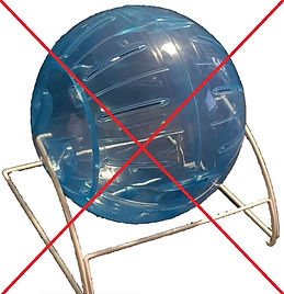 wheel-ball3.jpg