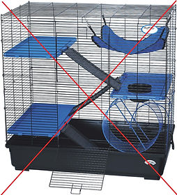 cage - good3.jpg