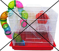 cage - daro dbl.jpg