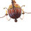 Thumbnail: RUSTIC RED CHANDELIER