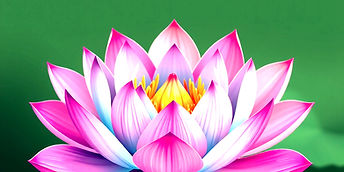 header banner multi lotus flower _edited_edited.jpg