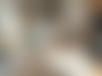 Expert Renovations: Transforming Spaces with Precision