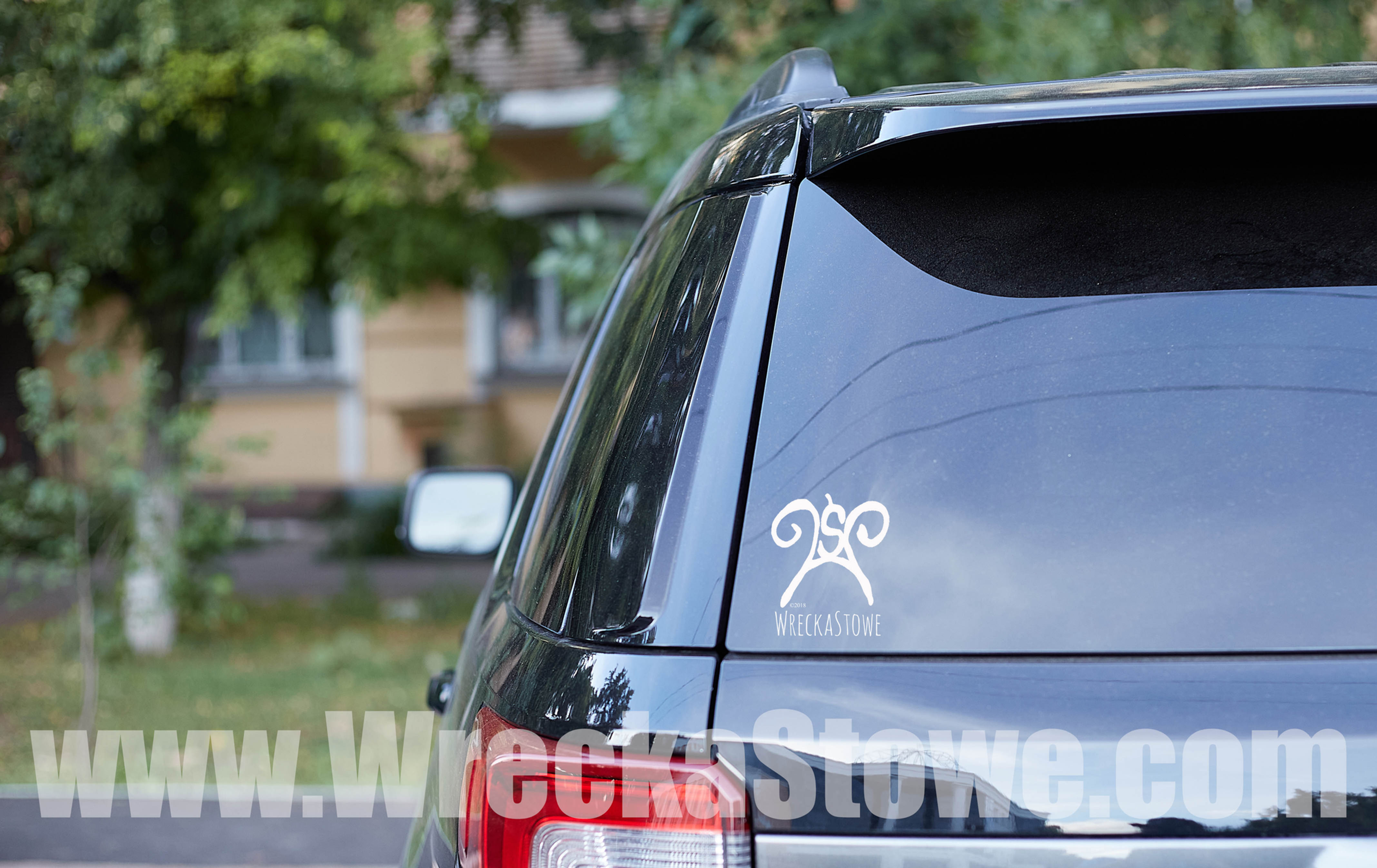 WS logo vinyl sticker