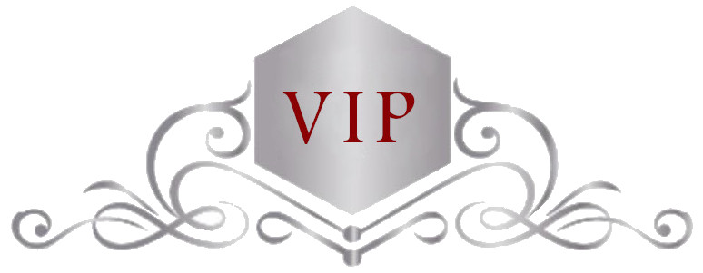 VIP Companionship logo