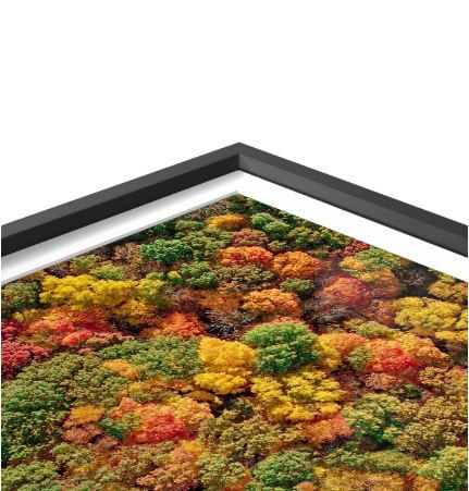 Thumbnail: ColorFall Canopy - Dubuque, IA