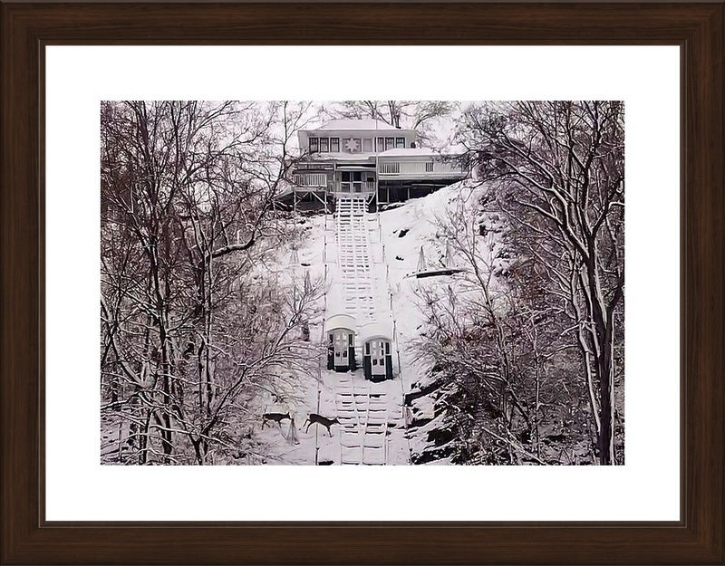 Thumbnail: Winter Visitors at the Fenelon Place Elevator - Dubuque, IA