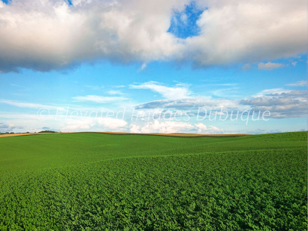 Midwest Meadows #2 - Dubuque, IA