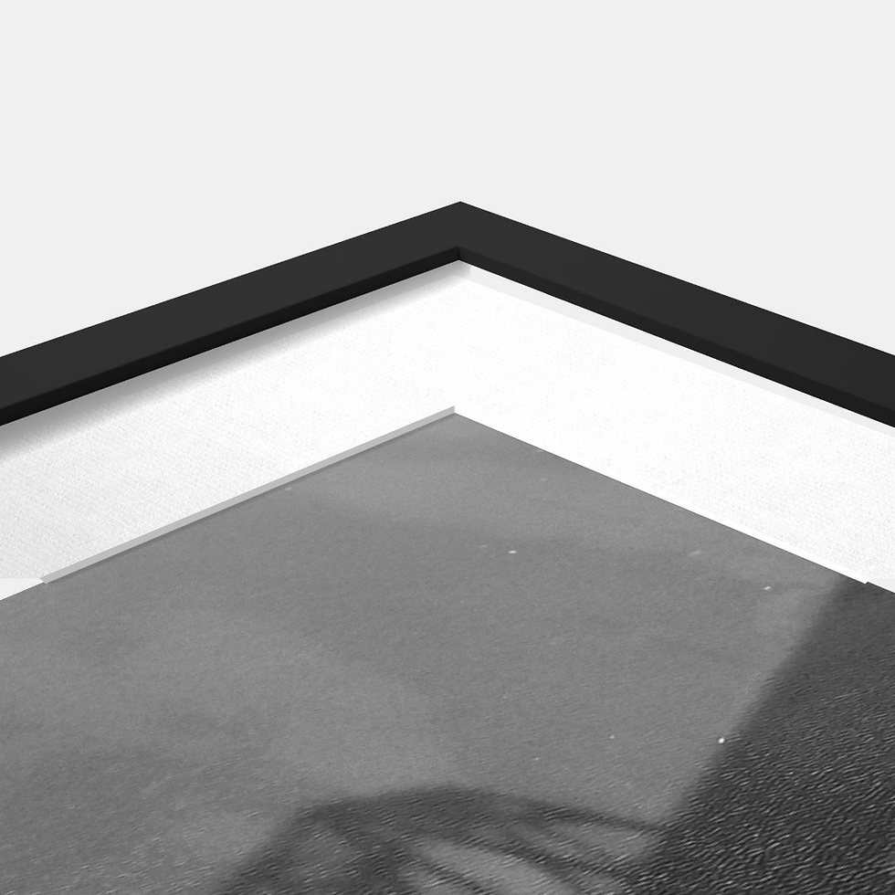 Thumbnail: Black & White Bridges #2 - Dubuque, IA
