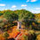 Thumbnail: ColorFall Julien Dubuque Monument - Dubuque, IA