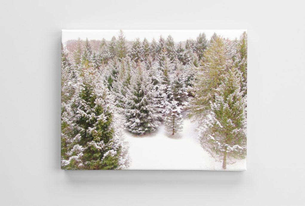 Evergreen Dreams - Dubuque, IA