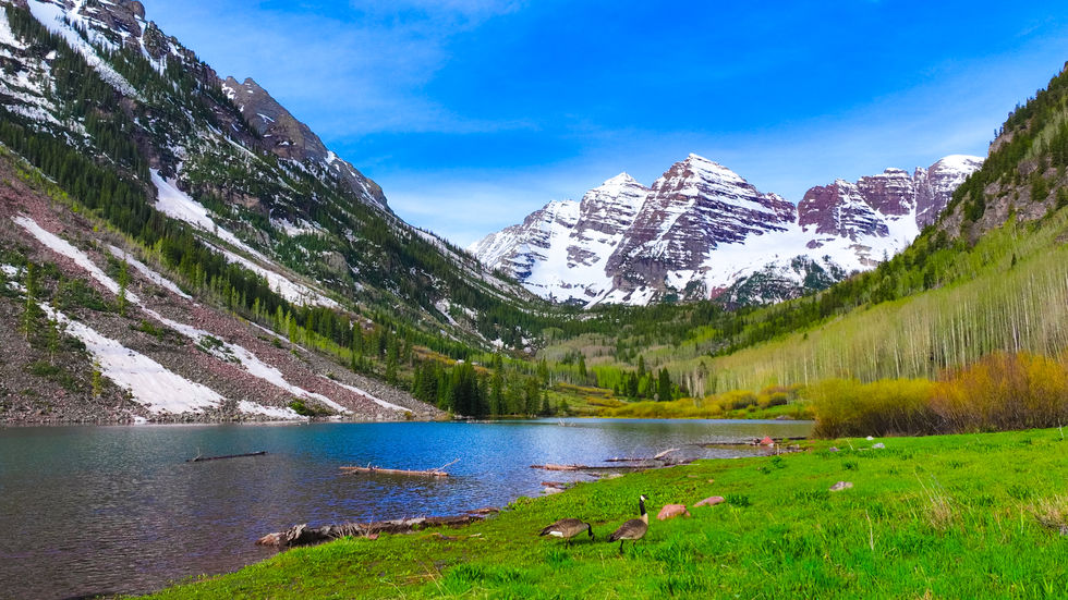 1. Limited Edition 4.JPG