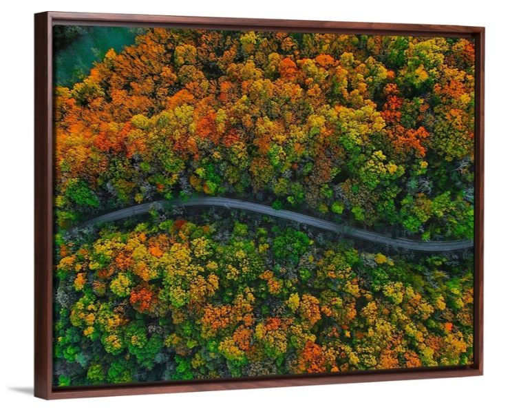 Thumbnail: ColorFall Mines of Spain Road - Dubuque, IA