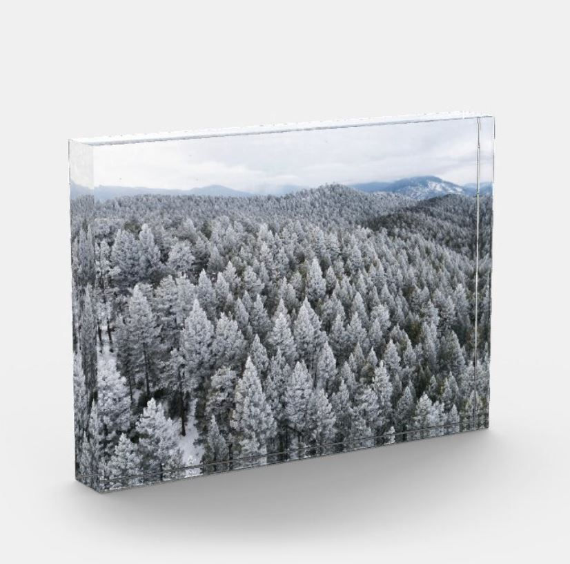 Evergreen, Colorado #8
